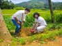 Tree Plantation Program, June 2017